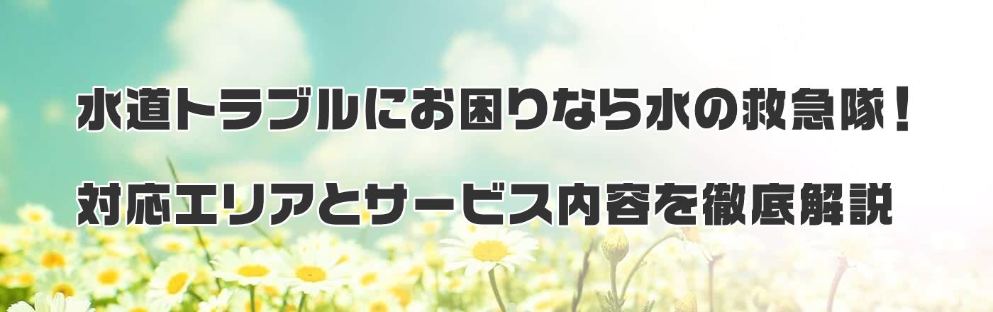 guɂȂ琅̋~}IΉGAƃT[rXeO